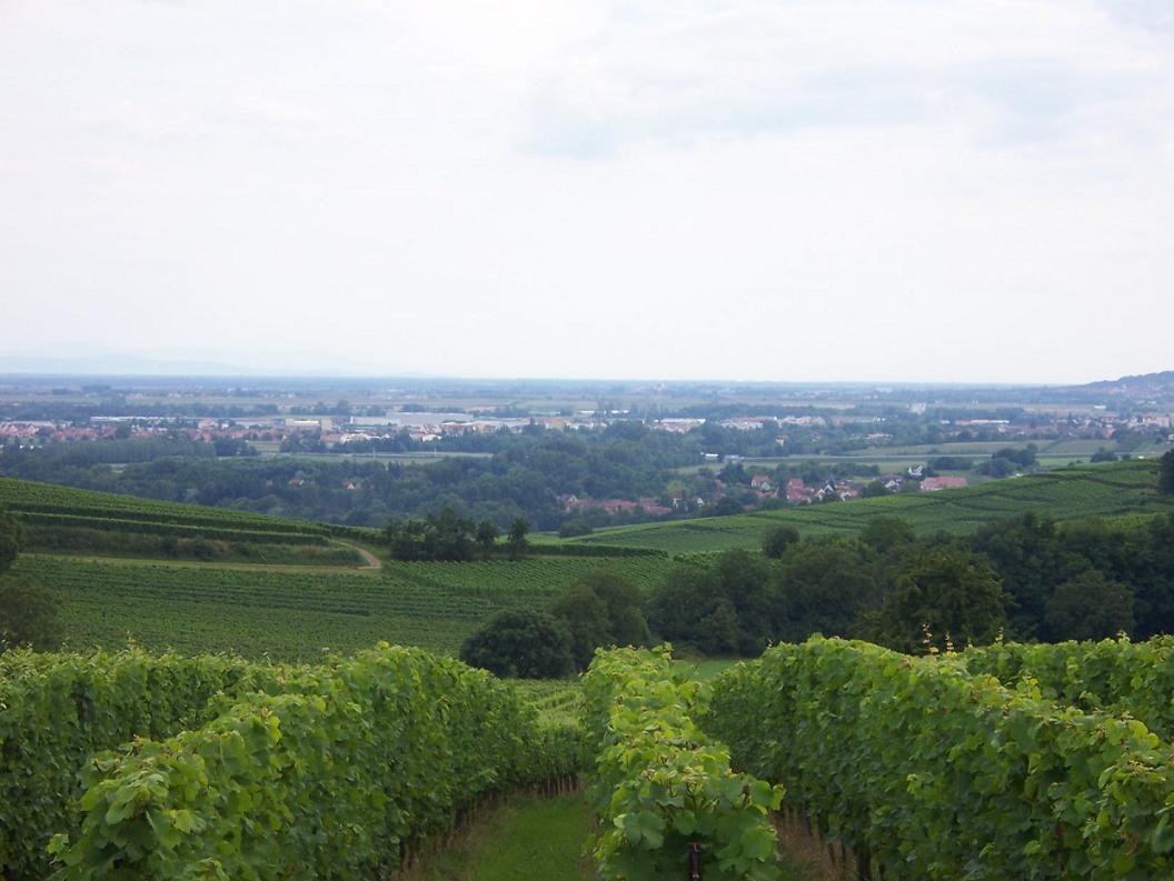environ de Scharrach
